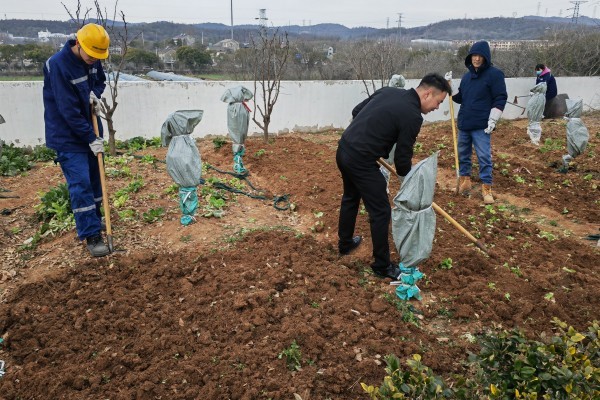 春雨润沃野，不误农时不负春——南京海中组织开展义务种植劳动